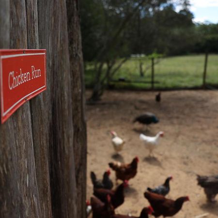 Blackwattle Farm Beerwah Exteriör bild