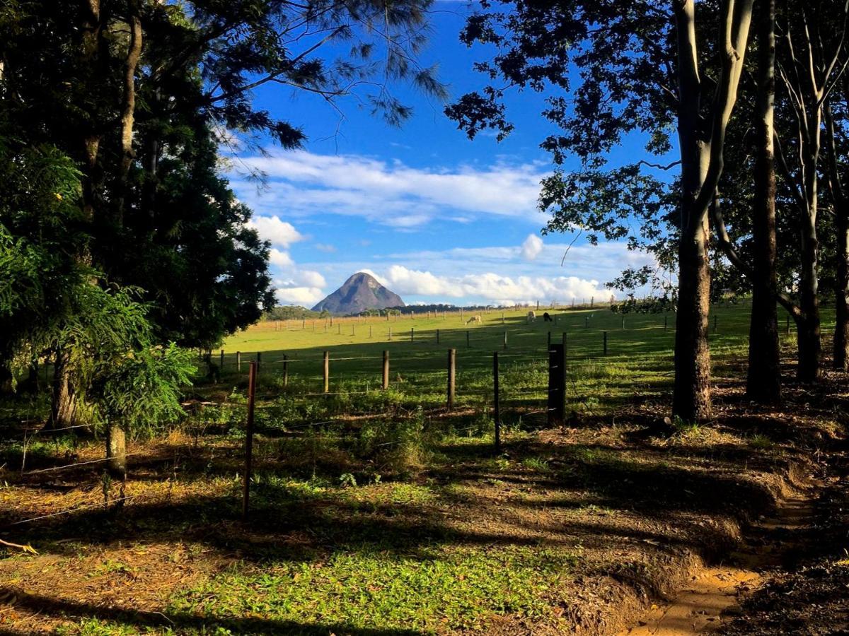 Blackwattle Farm Beerwah Rum bild