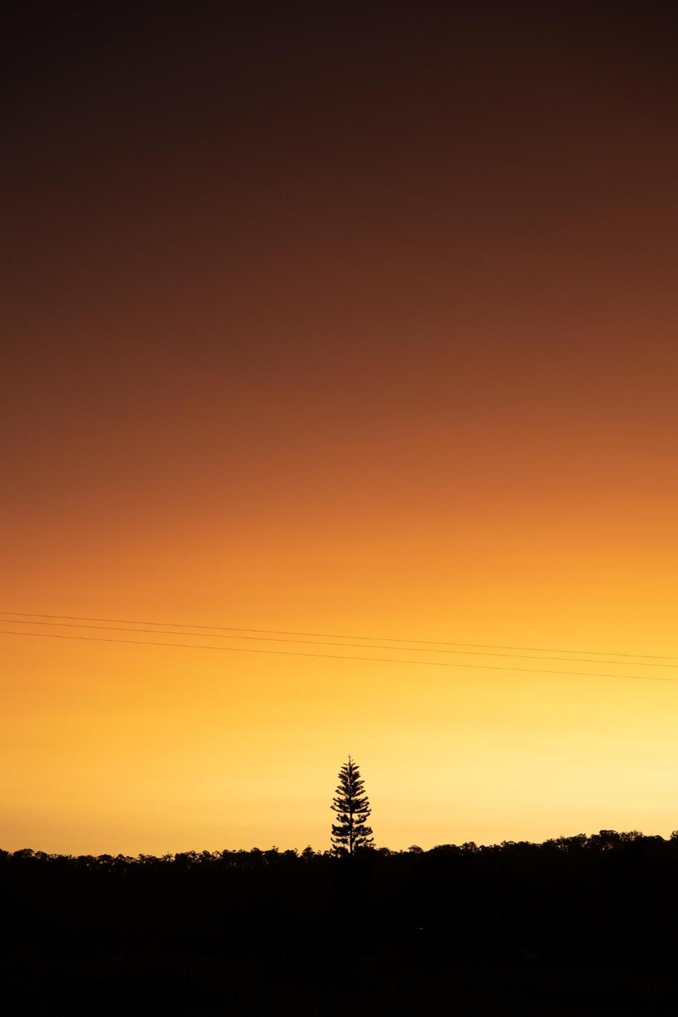 Blackwattle Farm Beerwah Exteriör bild