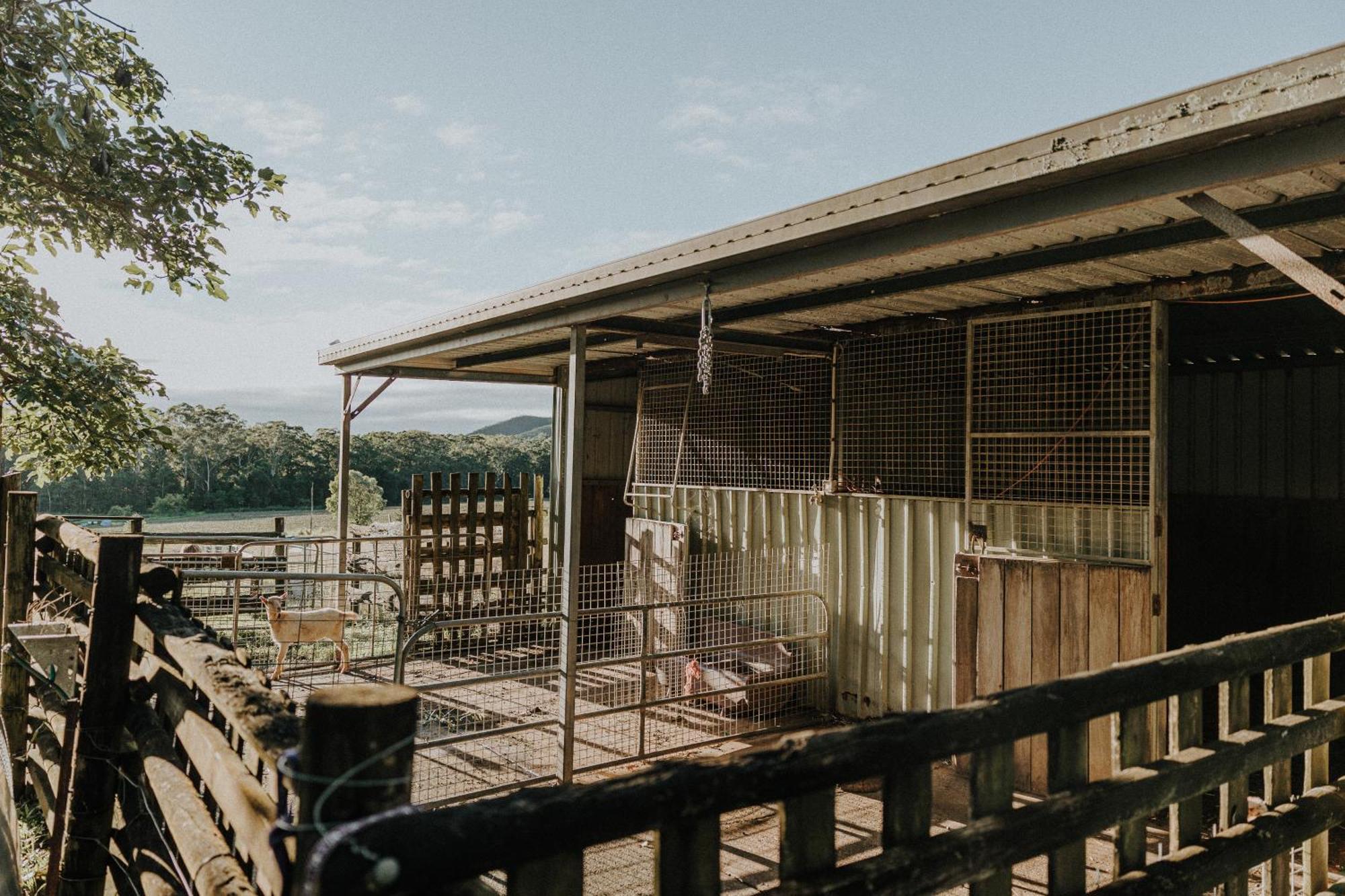 Blackwattle Farm Beerwah Exteriör bild