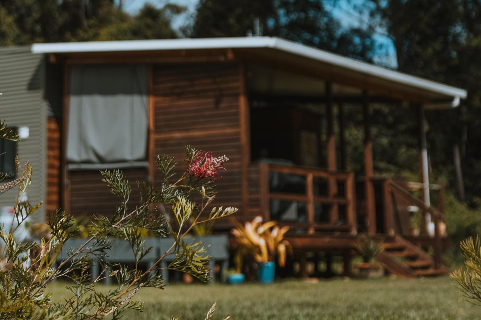 Blackwattle Farm Beerwah Exteriör bild