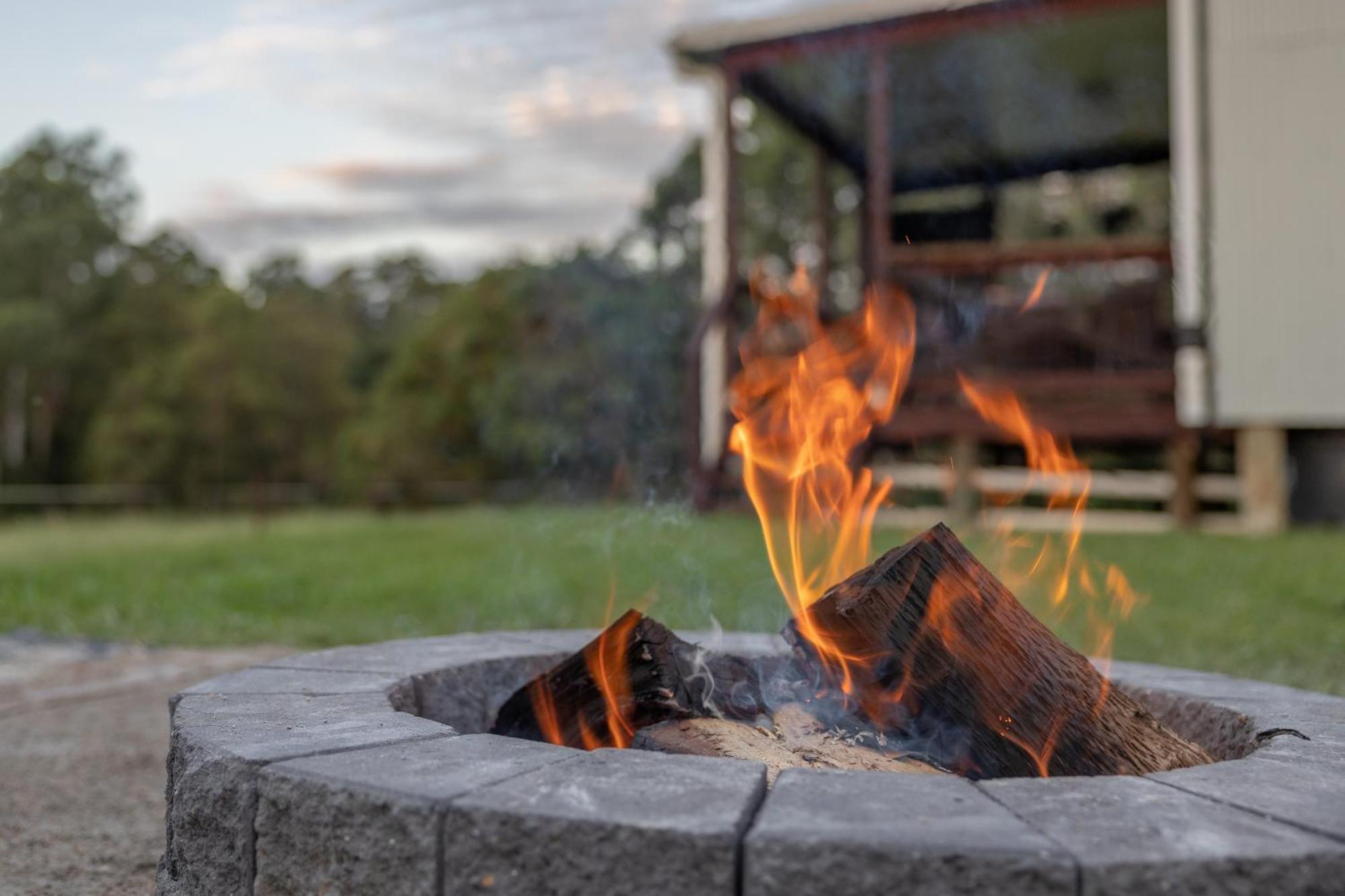 Blackwattle Farm Beerwah Exteriör bild