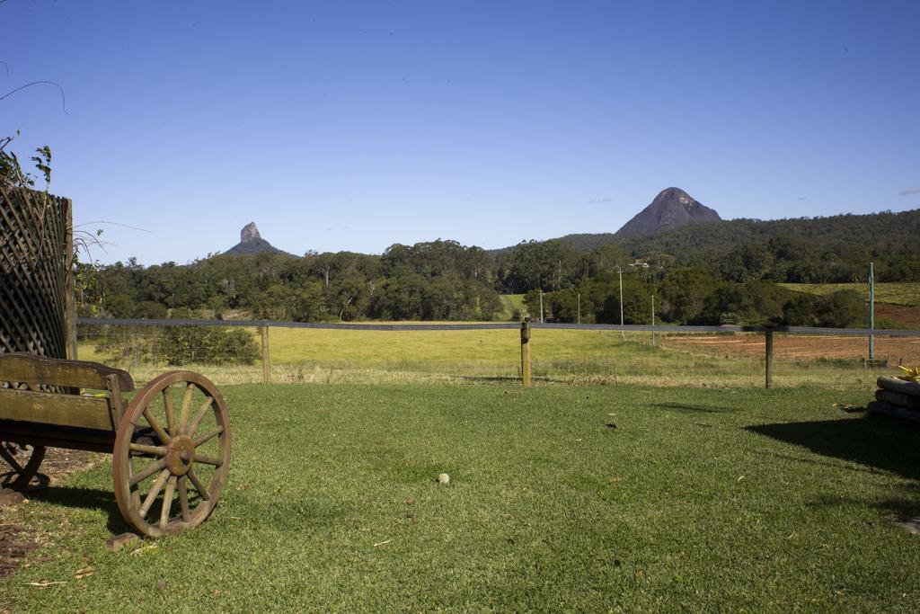 Blackwattle Farm Beerwah Exteriör bild