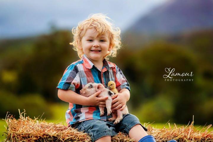 Blackwattle Farm Beerwah Exteriör bild